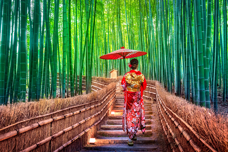 Summer 2024 - Kyoto, Japan